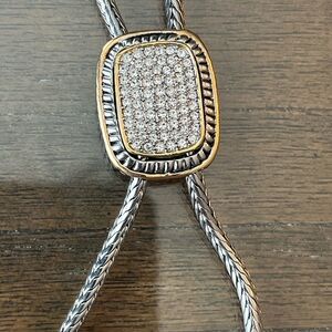 Silver and Gold Men's Bolo Tie